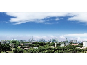 鞍山鋼鐵集團(tuán)